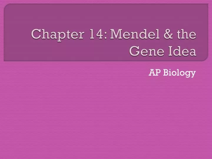 chapter 14 mendel the gene idea