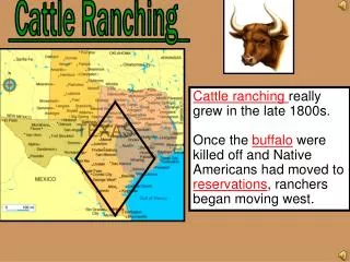 Cattle Ranching