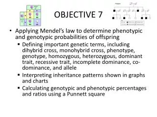 objective 7