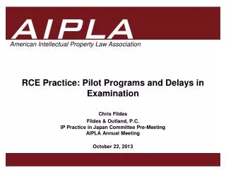 RCE Practice: Pilot Programs and Delays in Examination