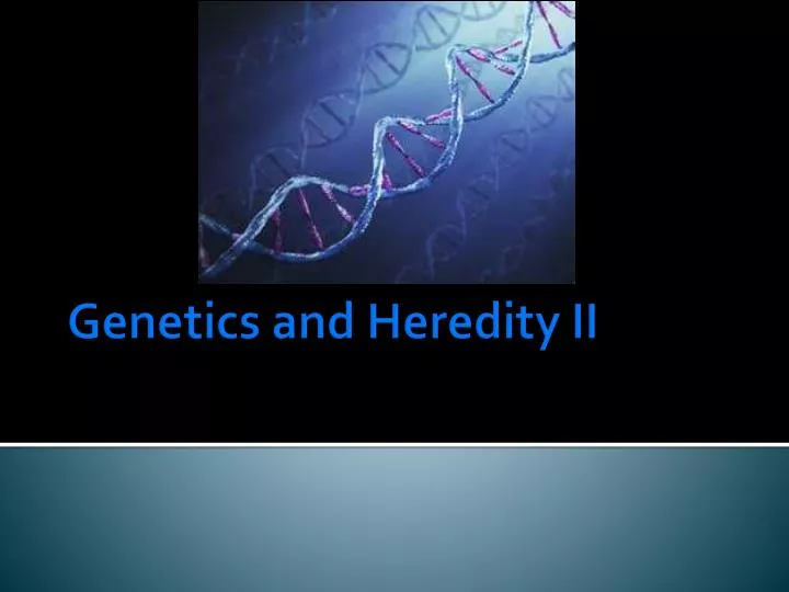 genetics and heredity ii