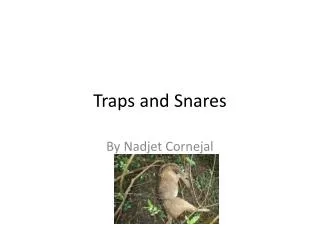 Traps and Snares