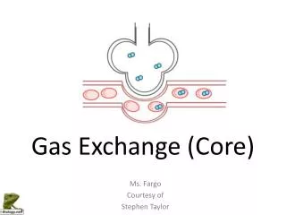Gas Exchange (Core)