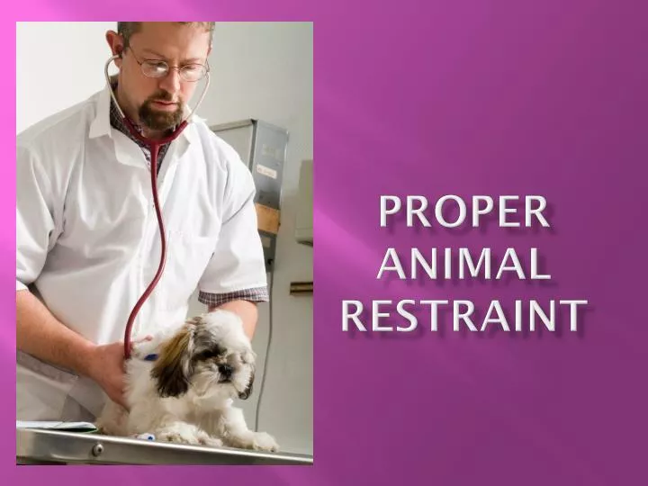 proper animal restraint