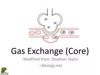 Gas Exchange (Core)