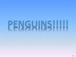 PENGUINS!!!!!