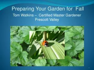 Preparing Your Garden for Fall