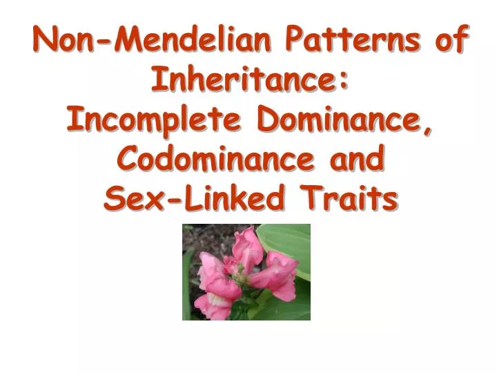 non mendelian patterns of inheritance incomplete dominance codominance and sex linked traits