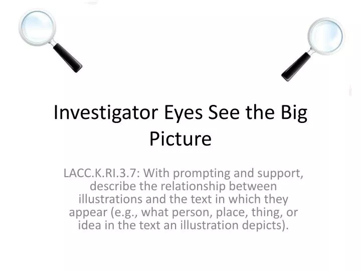 investigator e yes see the big picture
