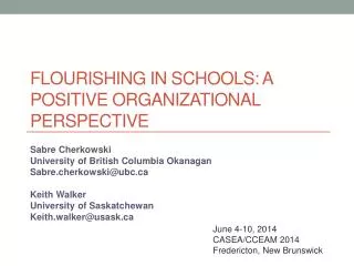 Flourishing in Schools: A Positive Organizational Perspective