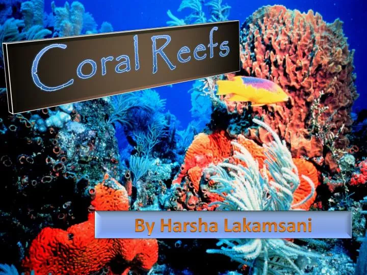 coral reefs