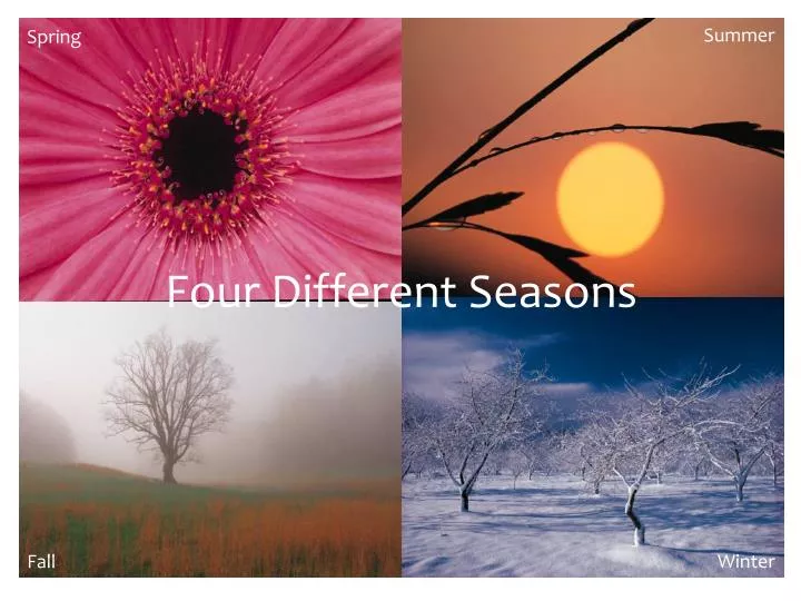 four different seasons