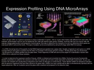 Expression Profiling Using DNA MicroArrays
