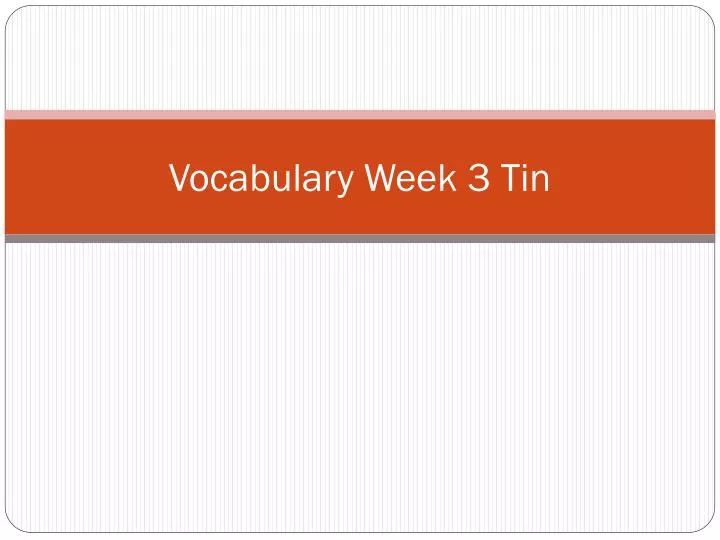 vocabulary week 3 tin