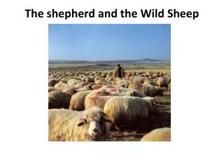 The shepherd and the Wild Sheep