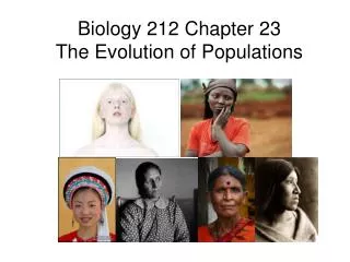 Biology 212 Chapter 23 The Evolution of Populations