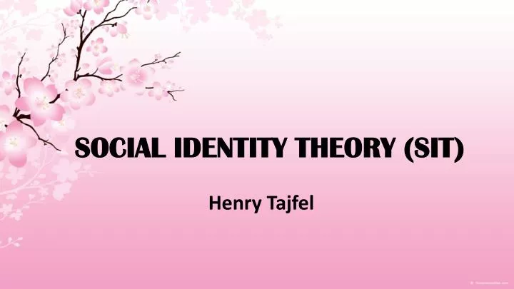 social identity theory sit