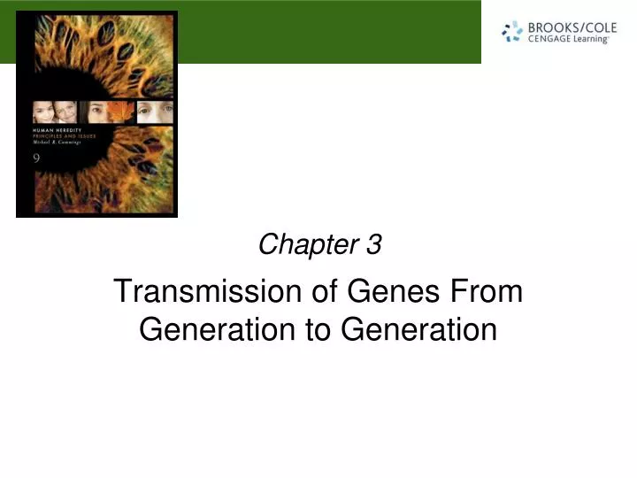 transmission of genes from generation to generation