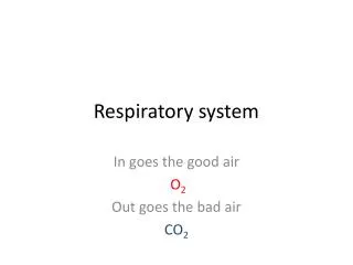 respiratory system