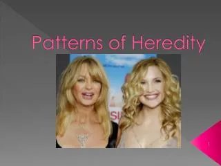 Patterns of Heredity