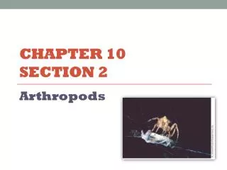 Chapter 10 Section 2