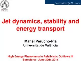 Jet dynamics , stability and energy transport