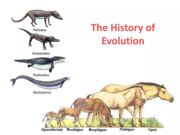 PPT - The History Of Evolution PowerPoint Presentation, Free Download ...