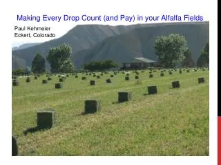 Making Every Drop Count (and Pay) in your Alfalfa Fields