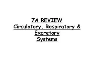 7A REVIEW Circulatory, Respiratory &amp; Excretory Systems