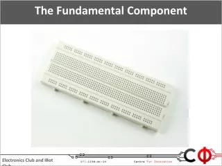 The Fundamental Component