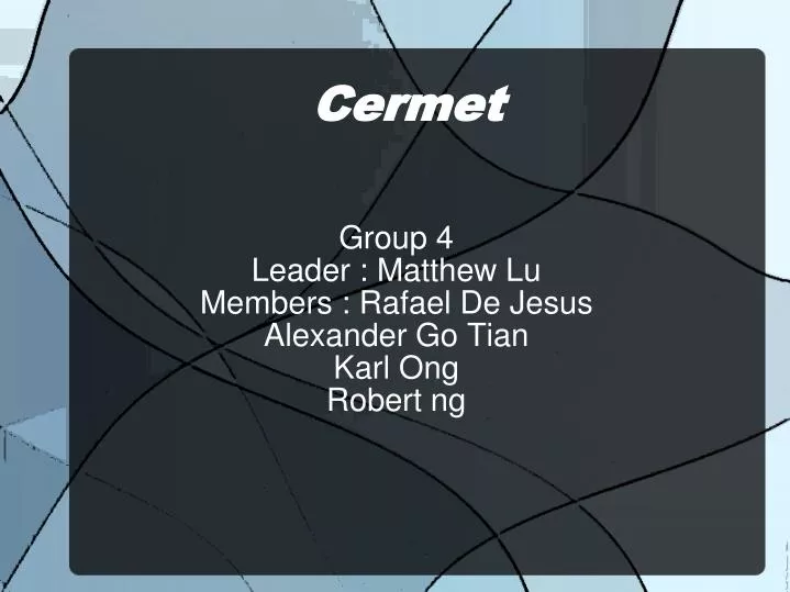 group 4 leader matthew lu members rafael de jesus alexander go tian karl ong robert ng