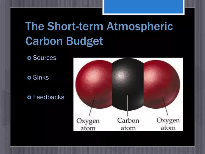 the short term atmospheric carbon budget