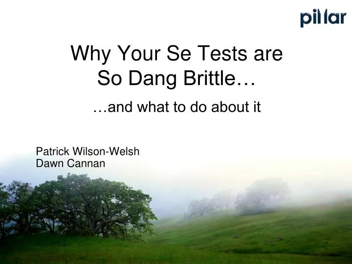 why your se tests are so dang brittle and what to do about it
