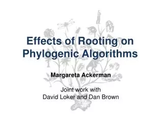 Effects of Rooting on Phylogenic Algorithms