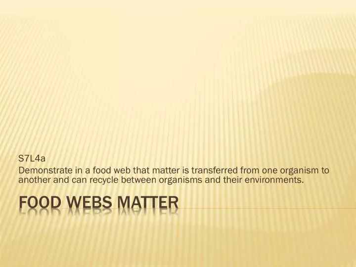 food webs matter