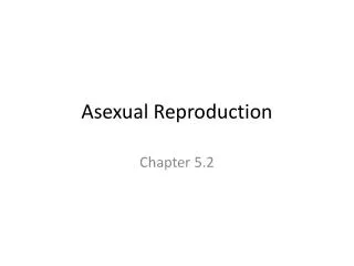asexual reproduction