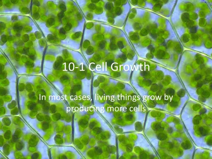 10 1 cell growth