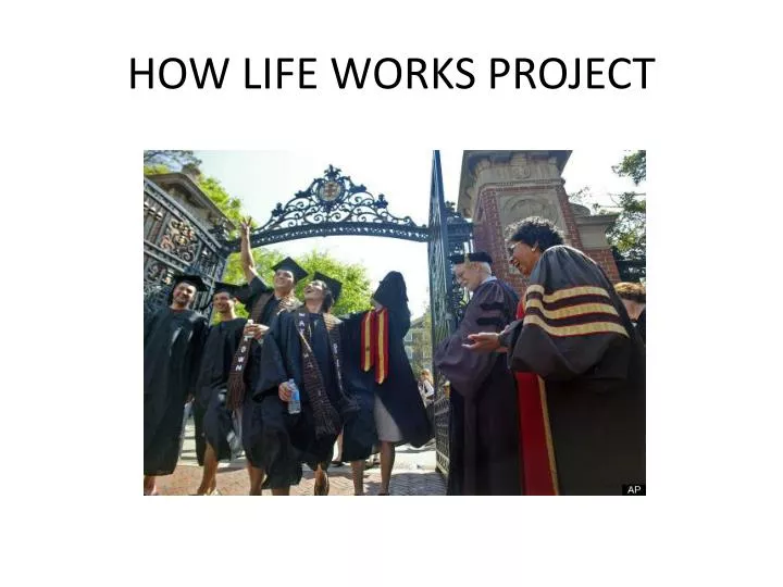 how life works project