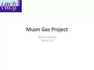 Muon Gas Project