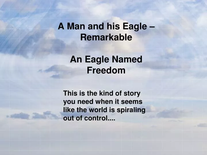 a man and his eagle remarkable an eagle named freedom