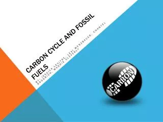Carbon Cycle and Fossil Fuels