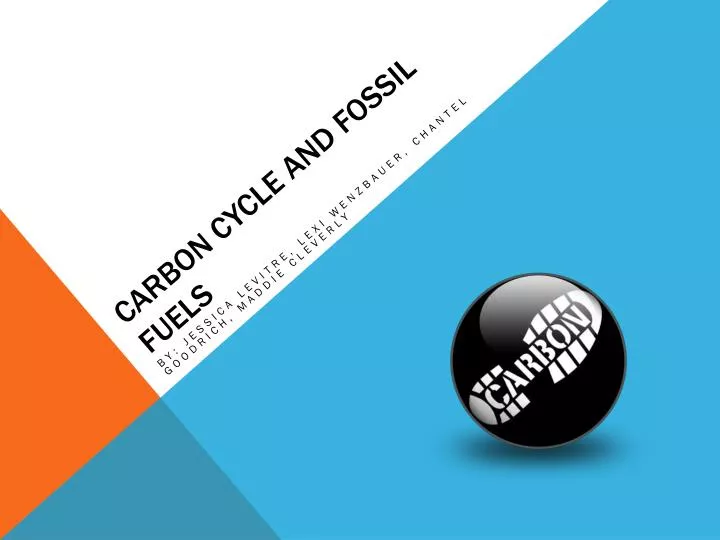 carbon cycle and fossil fuels