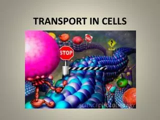 TRANSPORT IN CELLS