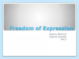 Freedom of Expression