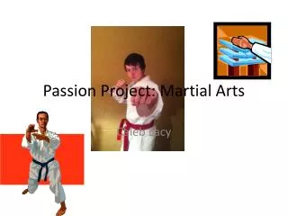 Passion Project: Martial Arts