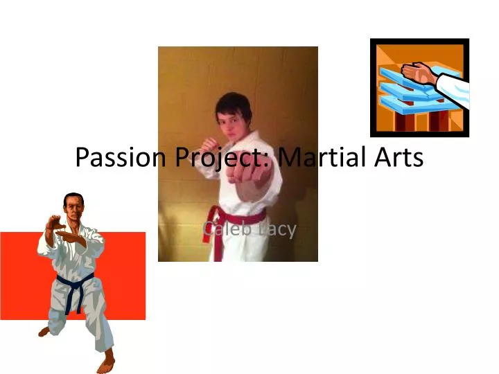 passion project martial arts