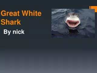 great white shark