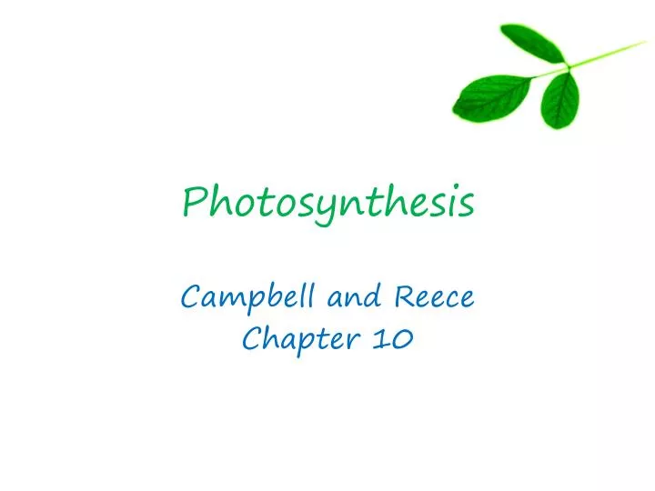 photosynthesis