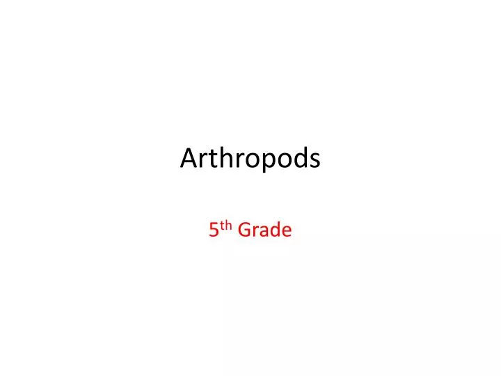 arthropods