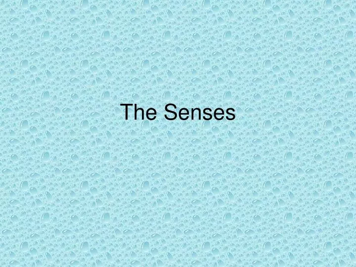 the senses